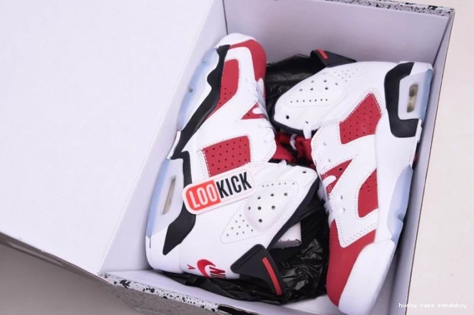 Rep Husky 'CARMINE' 2021 AIR 6 RETRO JORDAN CT8529-106 0814